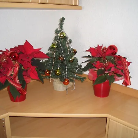Apartment Ritzl