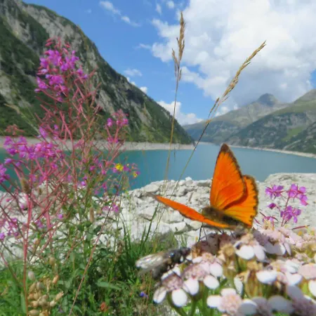 아파트 Ritzl 푸겐