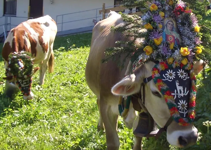 Apartment Apart Ritzl