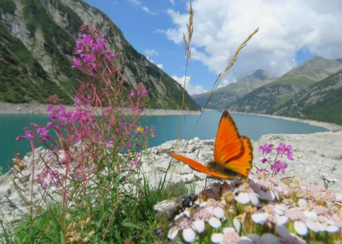 Apartment Apart Ritzl Fuegen